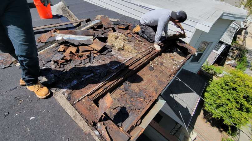 Professional Roof Replacement Service Project Shot 1