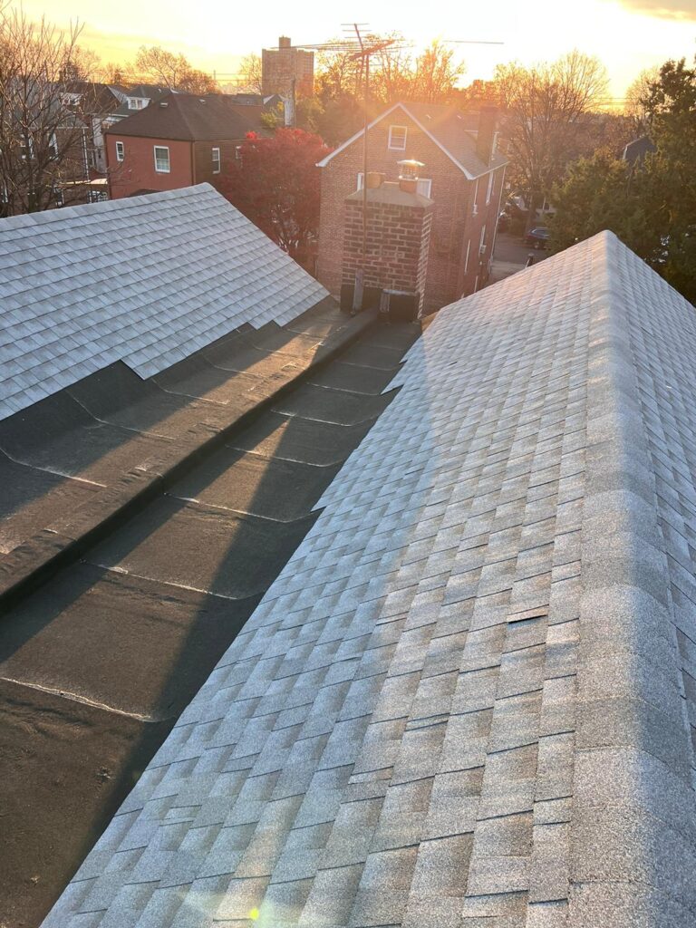 Shingle Roof Replacement Service in the Bronx Project Shot 7