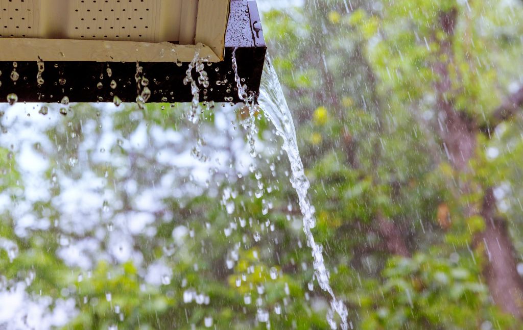 Avoiding Water Damage: How Professional Gutter Services Can Safeguard Your Home