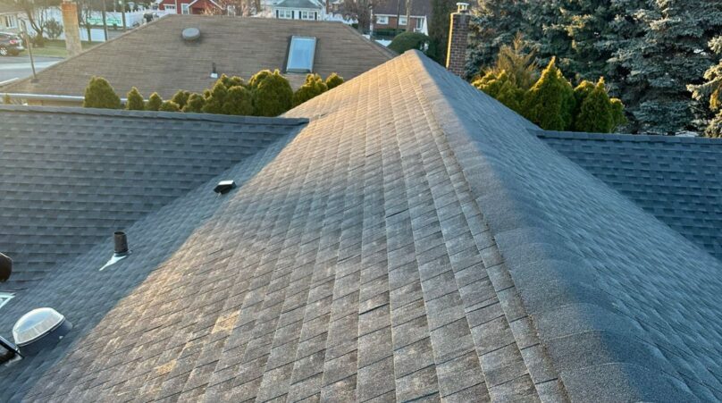 Shingle Roof Replacement Service in New Plywood Project Shot 1