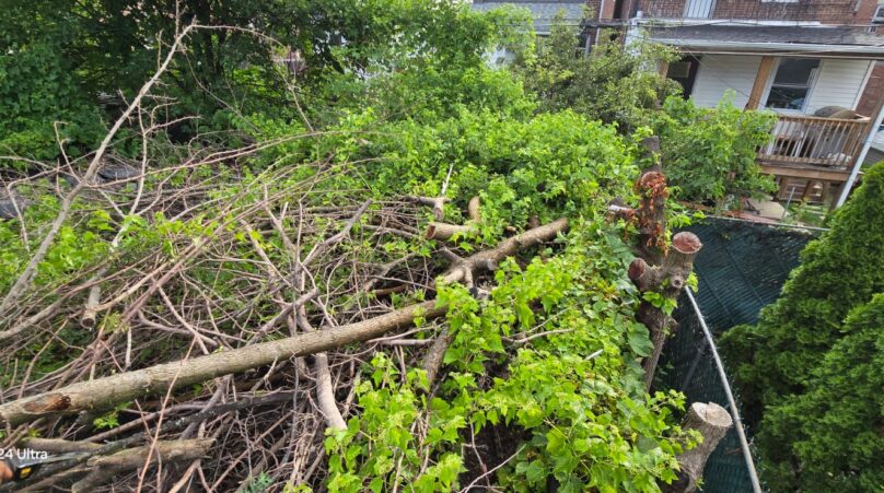 Full Home Renovation Service in the Bronx NY Project Shot 1