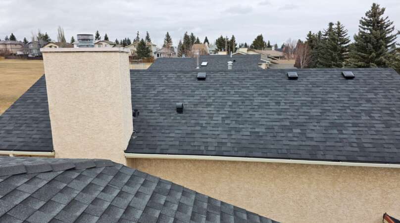 Best Shingle Roof Replacement in Bronx Project Shot 1