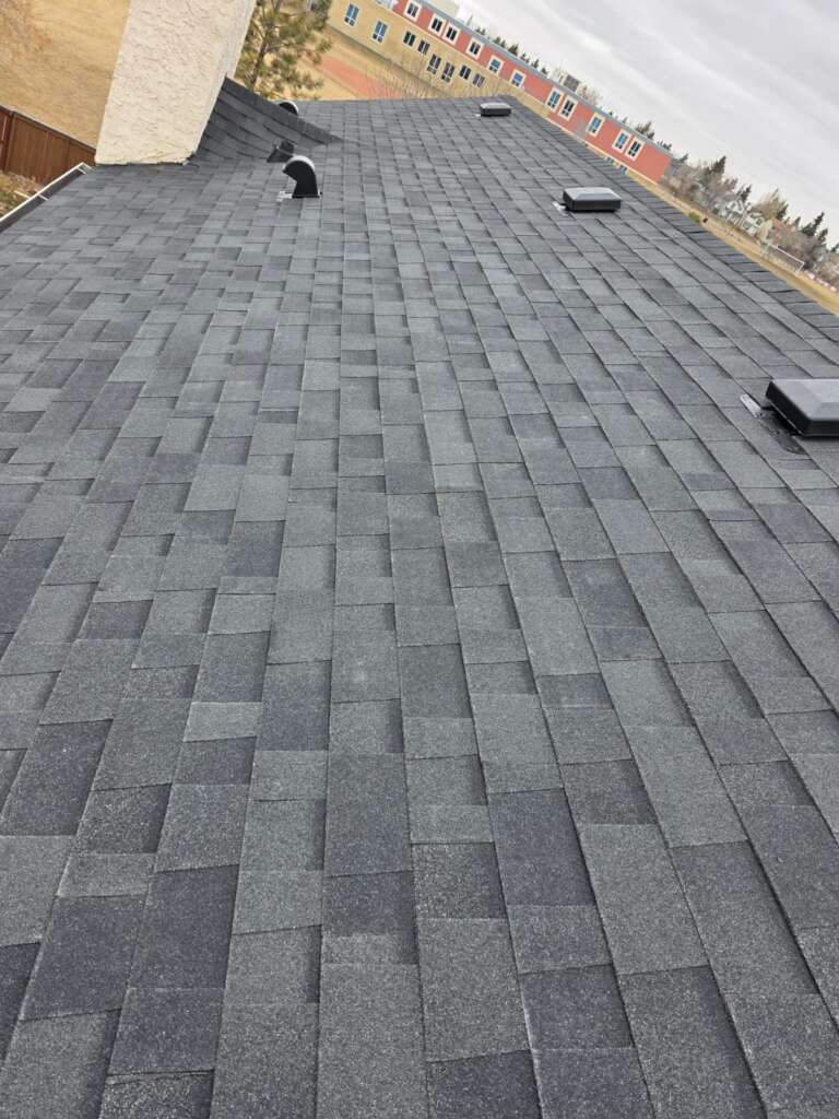 Best Shingle Roof Replacement in Bronx Project Shot 3