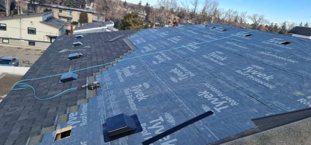 Professional Roof Replacement Service in the Bronx NYC Project Shot 2