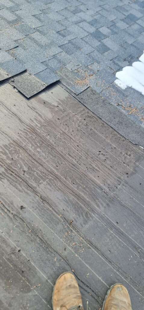 Top-Rated Roof Replacement Service in Bronx NYC Project Shot 11