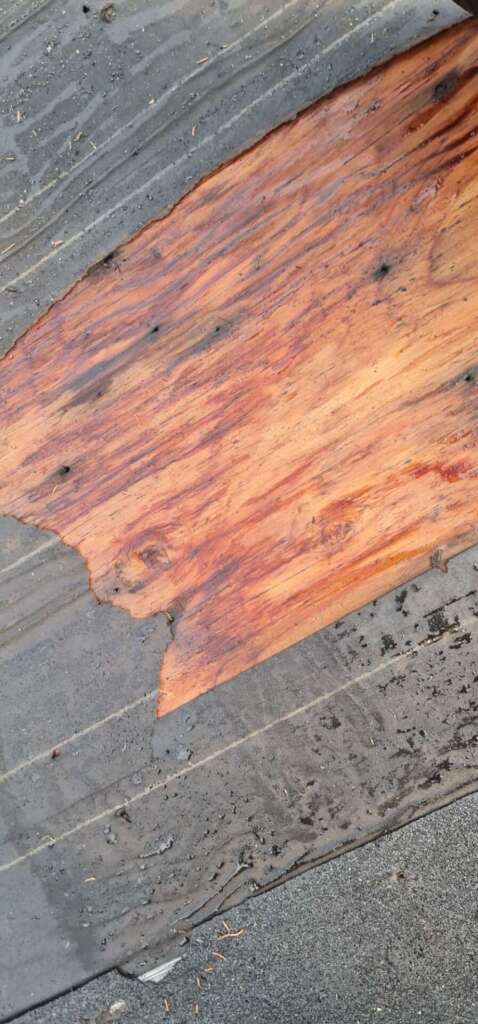 Top-Rated Roof Replacement Service in Bronx NYC Project Shot 8