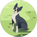 Nazario Tolentino profile picture