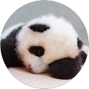 Mei Li profile picture